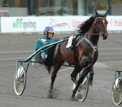 Toreador 151104-3